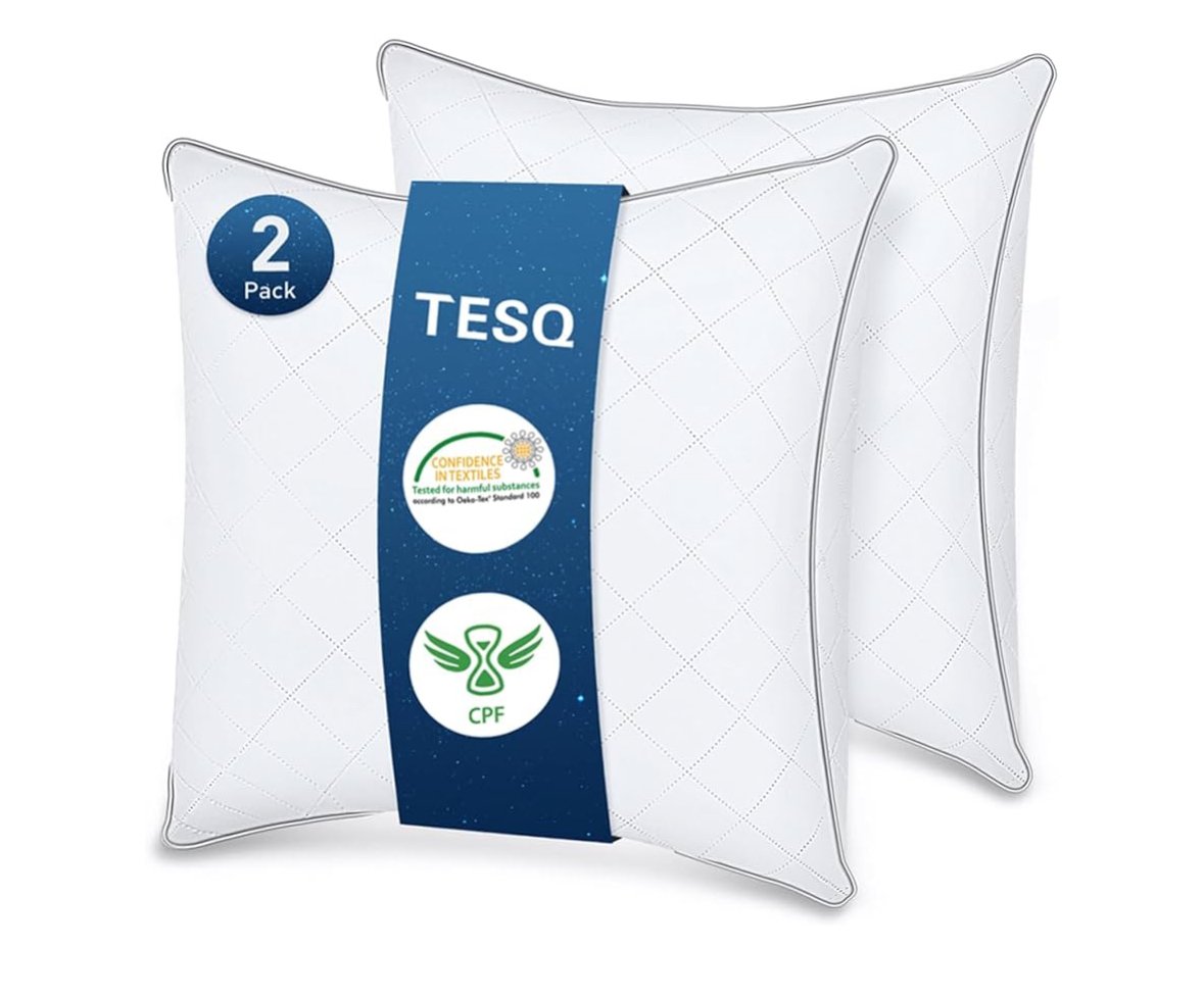 TESQ Oreiller 60x60 cm Lot de 2 Qualité Hôtelière de Luxe